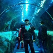 ���������� ��������, ���� ������� Alexander, 36 ���, ������������ ��� ������, ����� � ���������