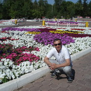  ,   , 52 ,   ,   , 