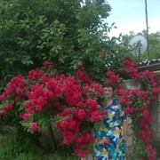  ,   , 67 ,     , c 