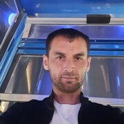  ,  , 41