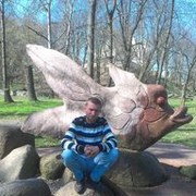  ,   , 43 ,   , 