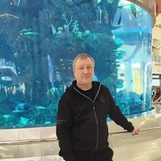 ���������� ������, ���� ������� ����, 49 ���, ������������ ��� ������, ����� � ���������, c�������� ���������, ���������