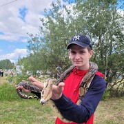 ���������� ����������, ���� ������� ����, 26 ���, ������������ ��� ����� � ���������, c�������� ���������