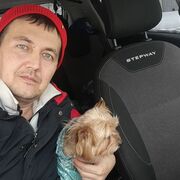 ���������� ���������, ���� ������� �����, 38 ���, ������������ ��� c�������� ���������