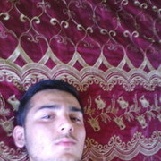 � ���� ������