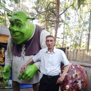 ���������� ���������, ���� ������� ������, 50 ���, ������������ ��� c�������� ���������