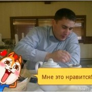  ,  , 46
