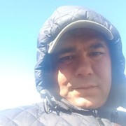  ,   Ziko, 41 ,   ,   , c 