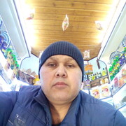 ���������� ����������, ���� ������� ������, 48 ���, ������������ ��� ������, ����� � ���������