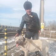 ���������� �����������, ���� ������� ����, 50 ���, ������������ ��� ������, ����� � ���������