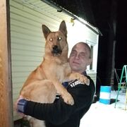 ���������� �����-���������, ���� ������� ����, 51 ���, ������������ ��� ������, ����� � ���������