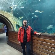  ,   , 40 ,   , 