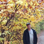  ,   , 59 ,   ,   