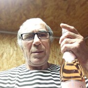  ,   , 66 ,   ,   