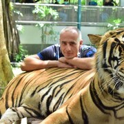 ���������� ��������, ���� ������� �������, 45 ���, ������������ ��� ������, ����� � ���������