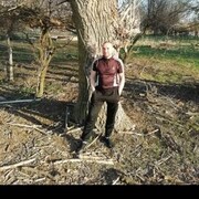  ,   , 48 ,   c 