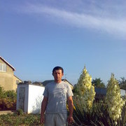 ,   , 52 ,   