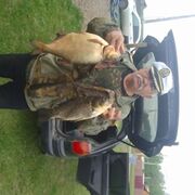 ���������� ����������, ���� ������� �������, 67 ���, ������������ ��� ������, ����� � ���������