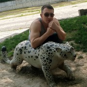  ,   Dmitrii, 38 ,   ,   , c 