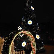  Praha,   , 25 ,   ,   