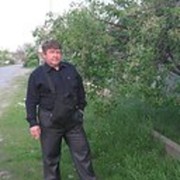  ,     , 52 ,   