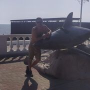 ���������� ����, ���� ������� Roman, 33 ����, ������������ ��� ������, ����� � ���������, c�������� ���������, ���������