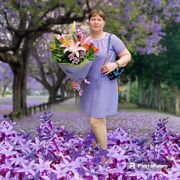  ,   Nata, 50 ,     , c , 