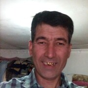  ,   NS, 43 ,   ,   