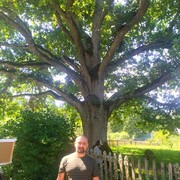 ���������� �������, ���� ������� ����������, 41 ���, ������������ ��� ������, ����� � ���������, c�������� ���������, ���������