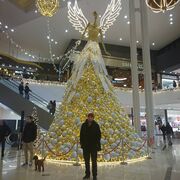  ,   , 37 ,   c , 