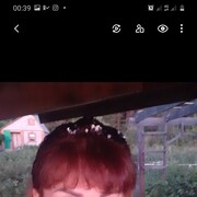  ,   , 57 ,  
