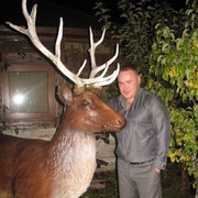 ���������� �����-���������, ���� ������� ������, 45 ���, ������������ ��� ������, ����� � ���������, c�������� ���������