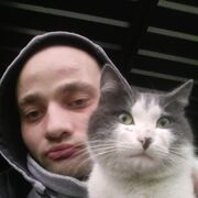 ���������� ����������, ���� ������� ����, 38 ���, ������������ ��� ������, ����� � ���������, c�������� ���������, ���������