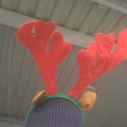 ���������� �����������, ���� ������� ����, 33 ����, ������������ ��� ������, ����� � ���������, c�������� ���������