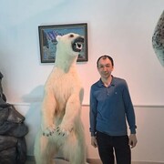  ,   , 35 ,  