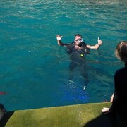 ���������� �����, ���� ������� �������, 46 ���, ������������ ��� ����� � ���������, c�������� ���������