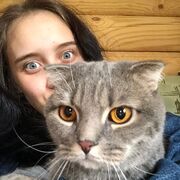 ���������� ���������, ���� ������� ������, 25 ���, ������������ ��� ������, ����� � ���������