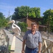  ,   , 63 ,   ,   , 