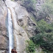 ���������� ����, ���� ������� �������, 46 ���, ������������ ��� ����� � ���������, c�������� ���������