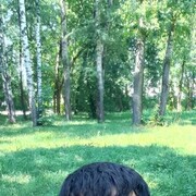  ,   , 38 ,     