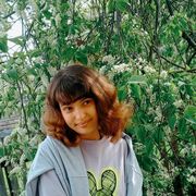  --,   , 20 ,   ,   , c 