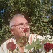  ,   , 61 ,   c 