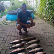  ,   Den, 44 ,   ,   