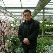  ,   , 55 ,     , c 