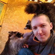   ,   , 27 ,   ,   