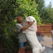 ���������� ������, ���� ������� �������, 55 ���, ������������ ��� ����� � ���������, c�������� ���������