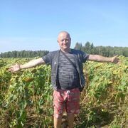 ���������� �����, ���� ������� ������, 49 ���, ������������ ��� ������