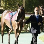 ���������� �����������, ���� ������� ��������, 32 ����, ������������ ��� ������, ����� � ���������, c�������� ���������