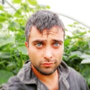 ���������� ��������, ���� ������� �������, 37 ���, ������������ ��� ������, ����� � ���������, c�������� ���������, ���������