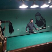 ���������� ������, ���� ������� Marzpet, 35 ���, ������������ ��� ������, ����� � ���������